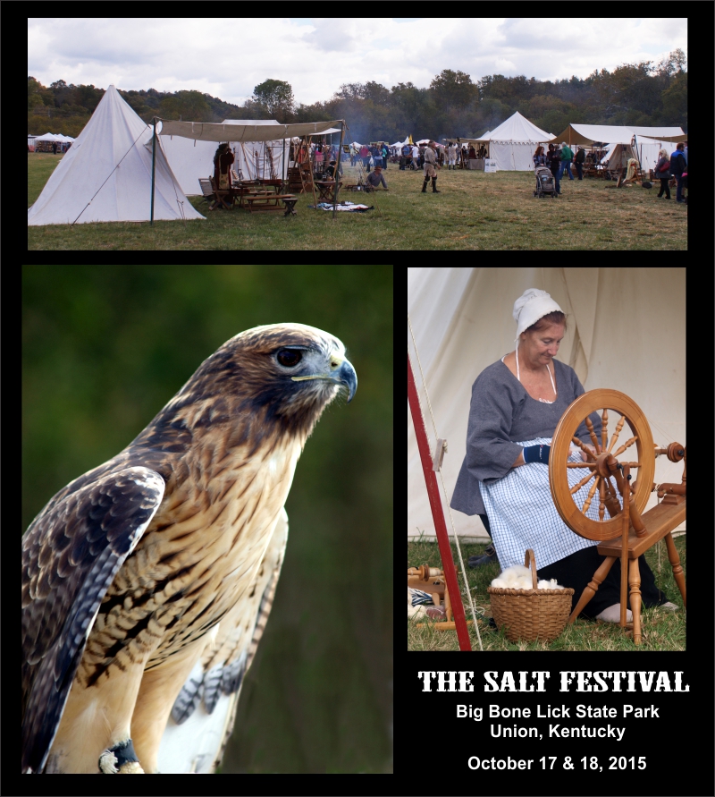 Salt Festival